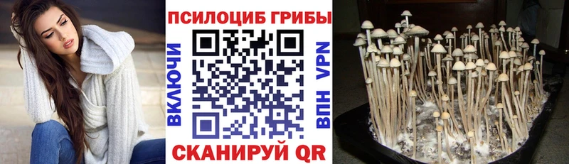Псилоцибиновые грибы прущие грибы продажа наркотиков Вихоревка