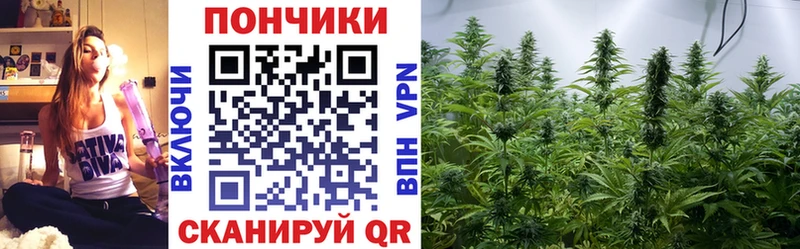 KRAKEN маркетплейс  дарнет шоп  Вихоревка  Марихуана White Widow 